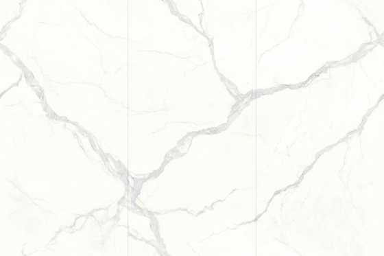 1200x2400 Порошкообразные плитки для ванной и гостиной с индивидуальным дизайном